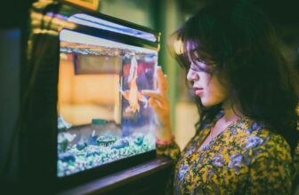 fish tank essentials guide