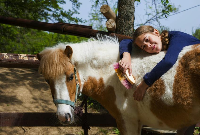 horse owner grooming essentials