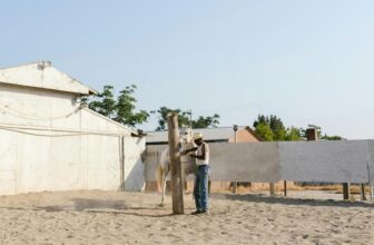 optimal horse stable conditions