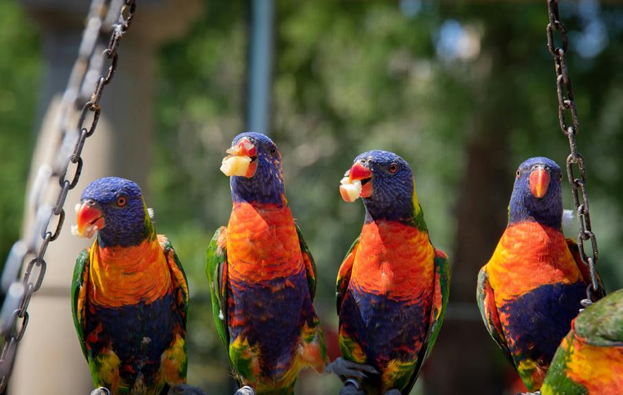 selecting bird food wisely