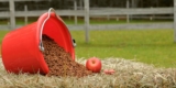 How Do You Choose the Best Feed for Your Horse's Specific Needs?