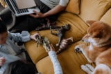 What Are the Benefits of Using Interactive Dog Toys?